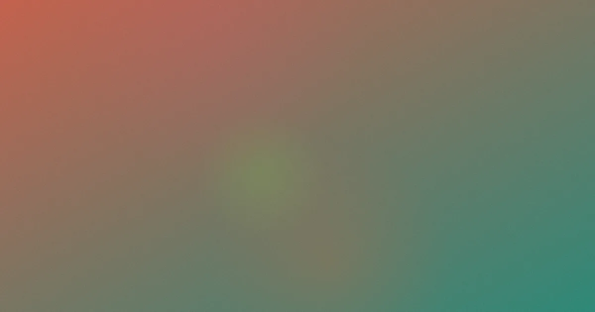 贝茨球推荐：新手这样选